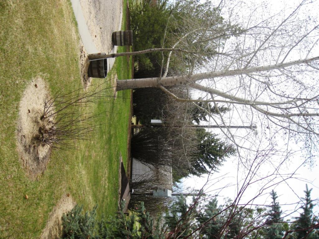 Sproule Heritage Bed & Breakfast Strathmore Exterior photo